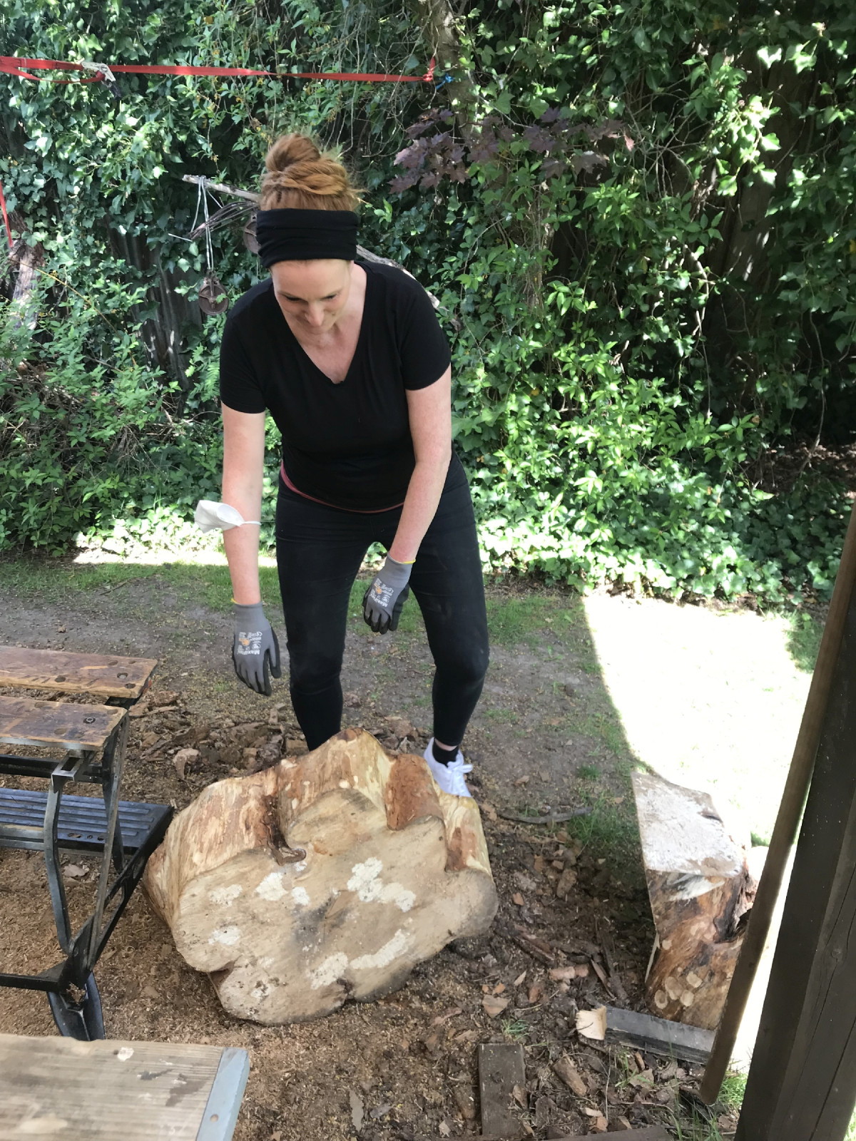 Kathryn - Kastanie