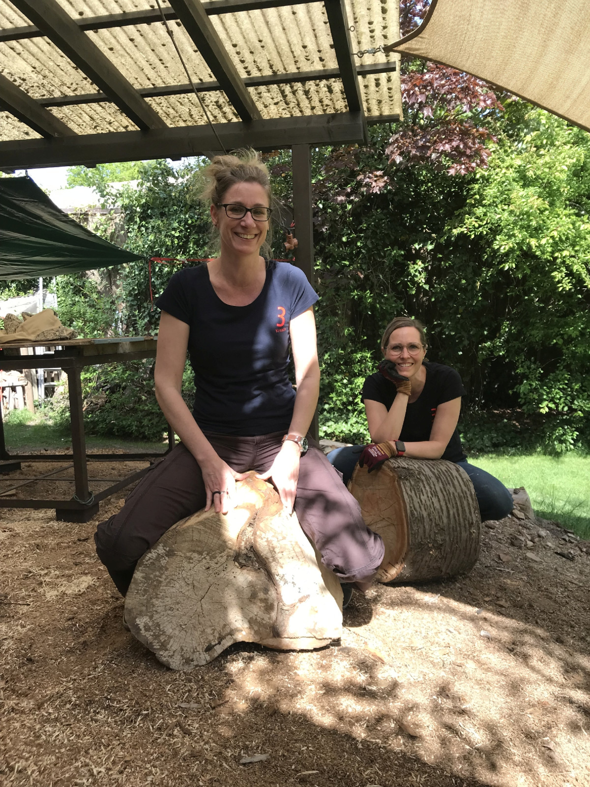 Ganz einfach K:K Karhryn - Kastanie, Kirsten - Kastanie (Vordergrund) - Miriam das andere Holz (Hintergrund)