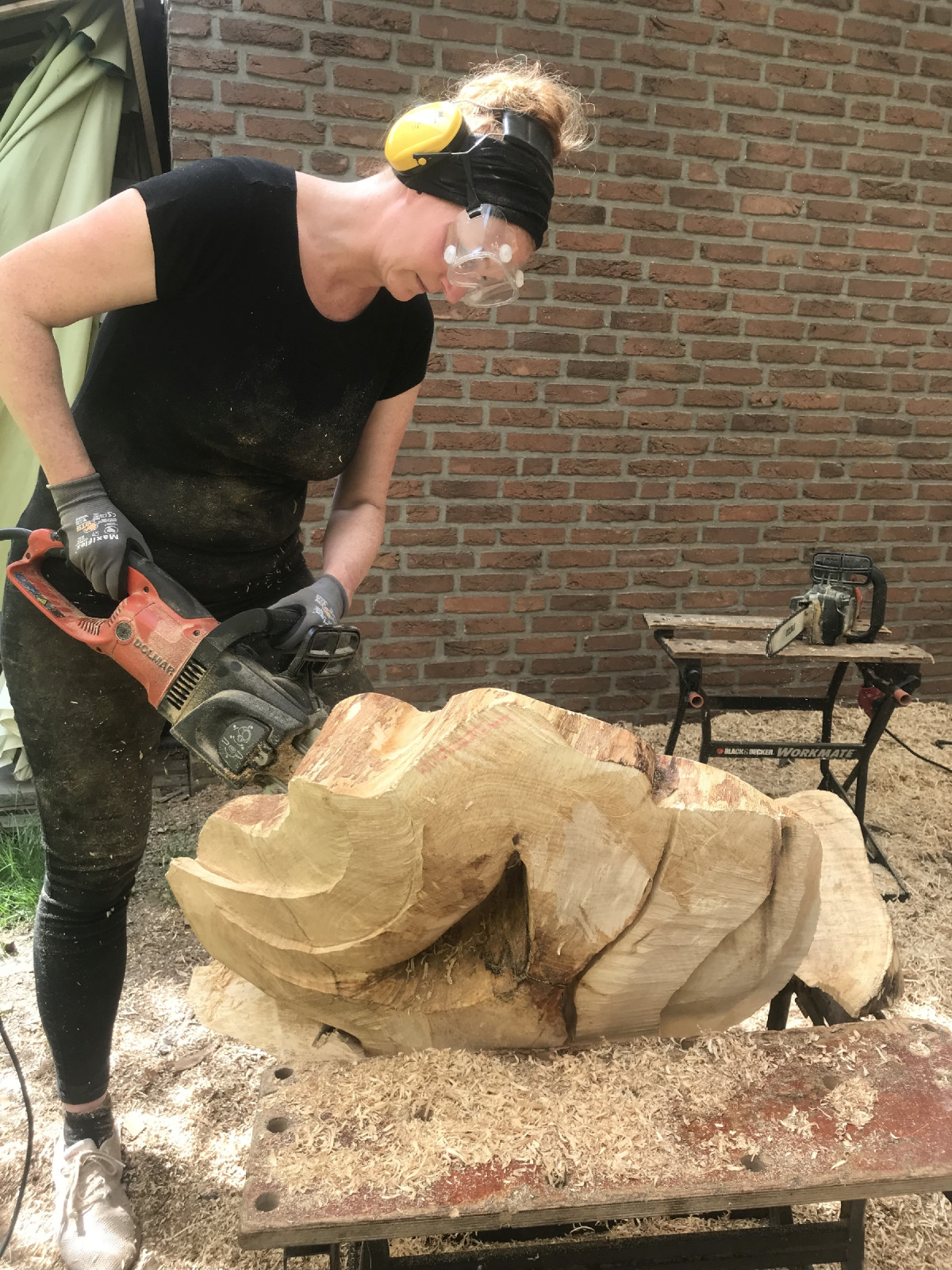 Gebt ihnen Sägen