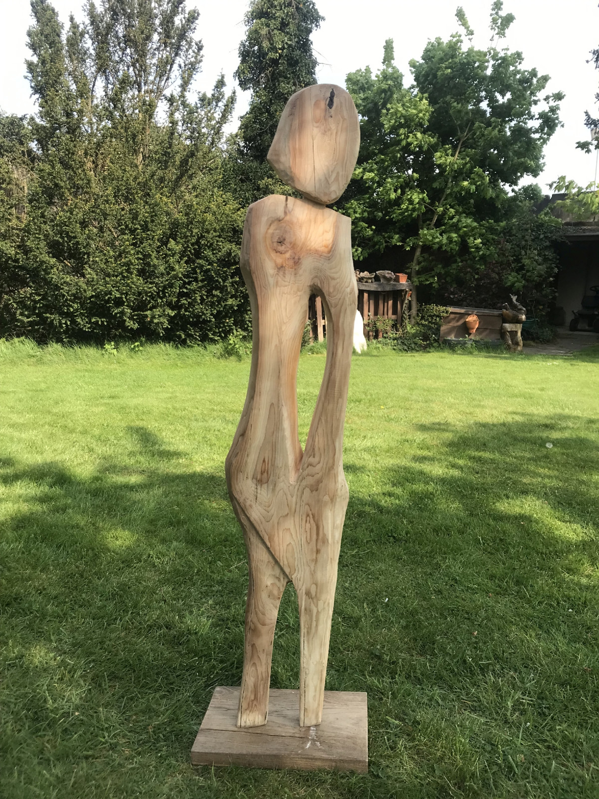 für den Garten zu schade