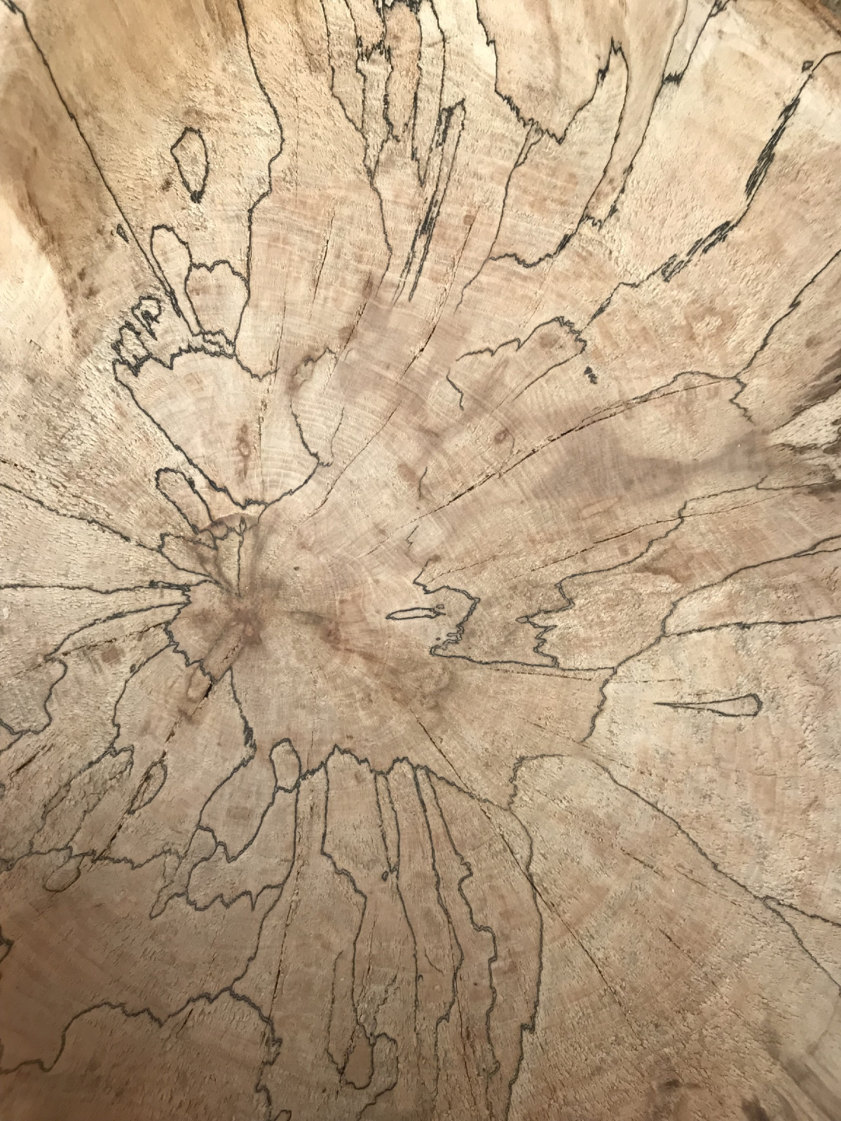 und die Maserung ein Traum - gegen die Naturgesetzte hilft ja wood fortifer und Epoxydharz