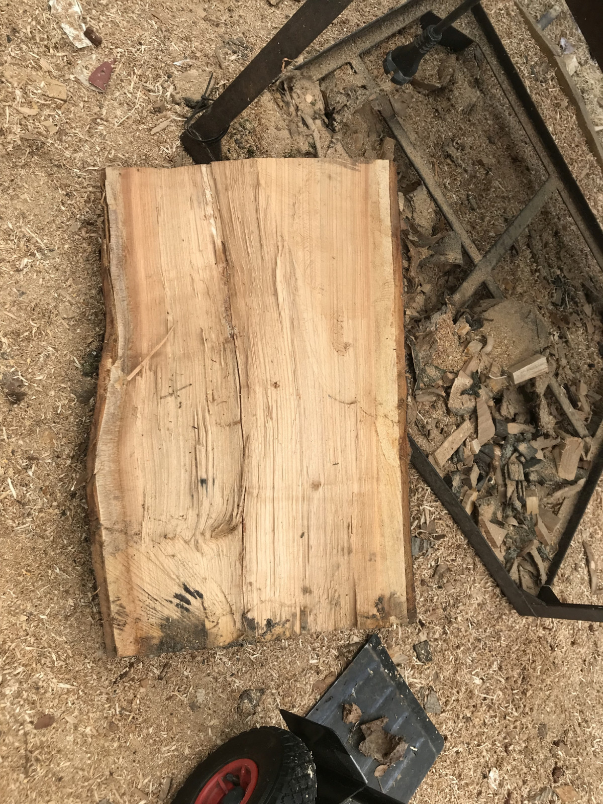 Rätselbild. Wessen Holz war das?