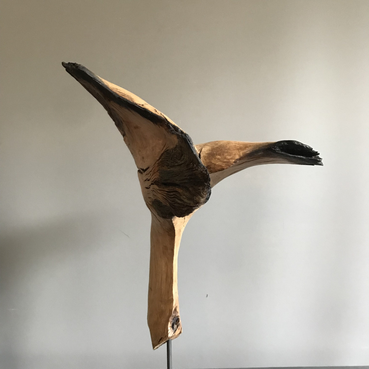 Schweber (oder Fliegender)