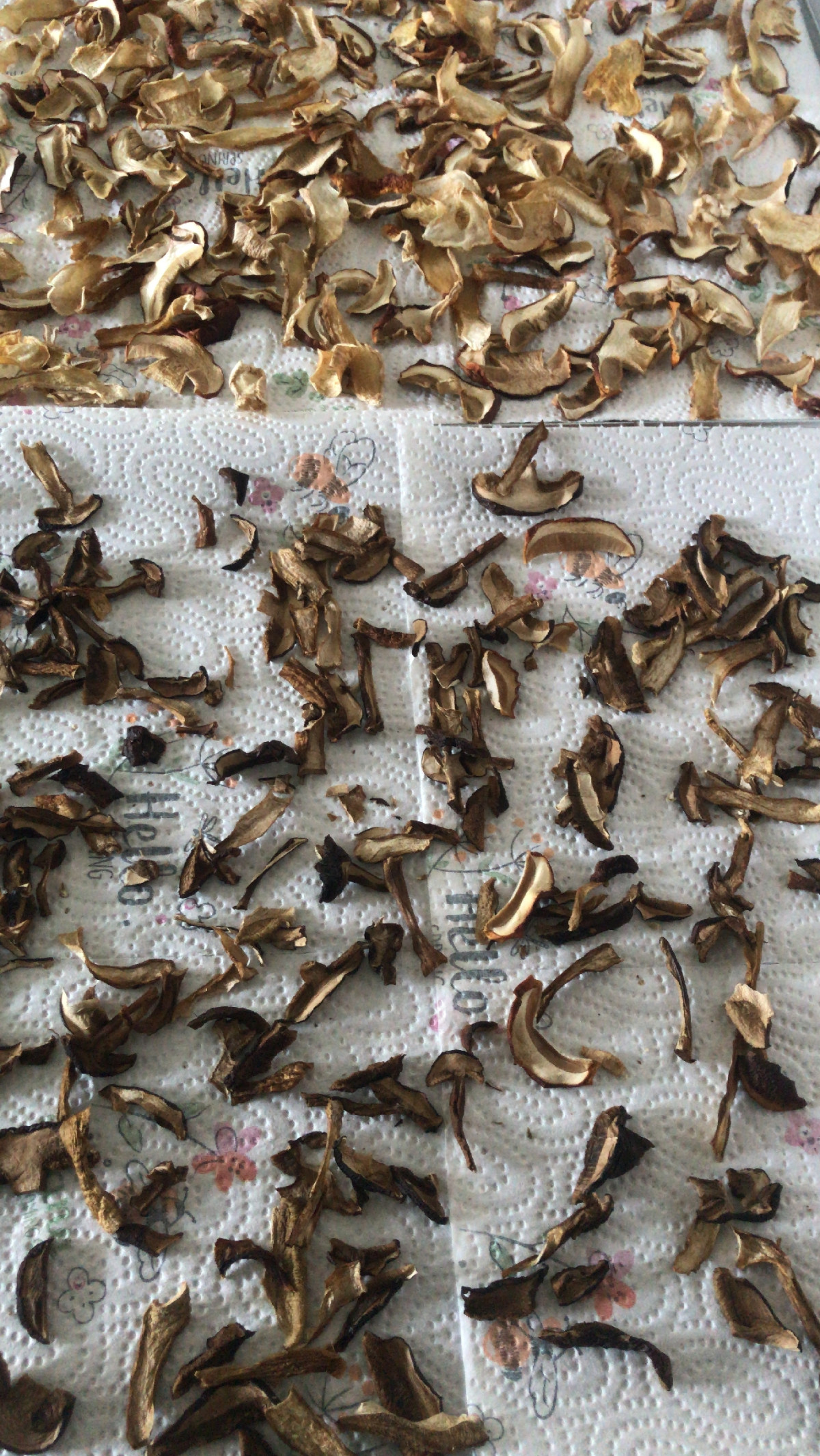 Willkommen in