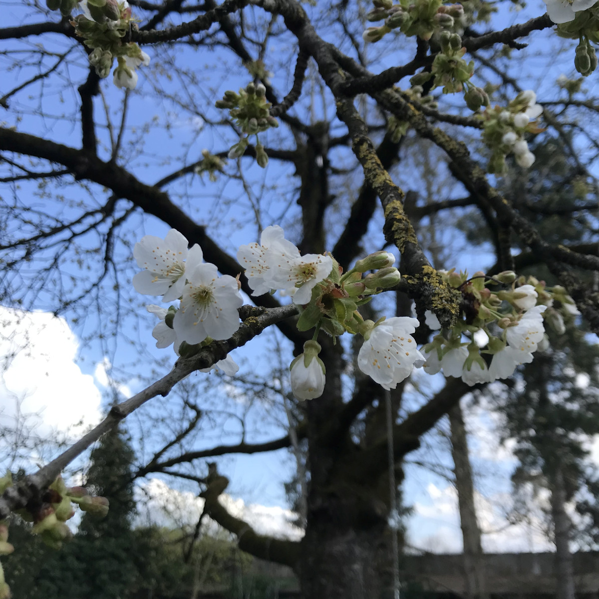 Das wird die Ernte 23.