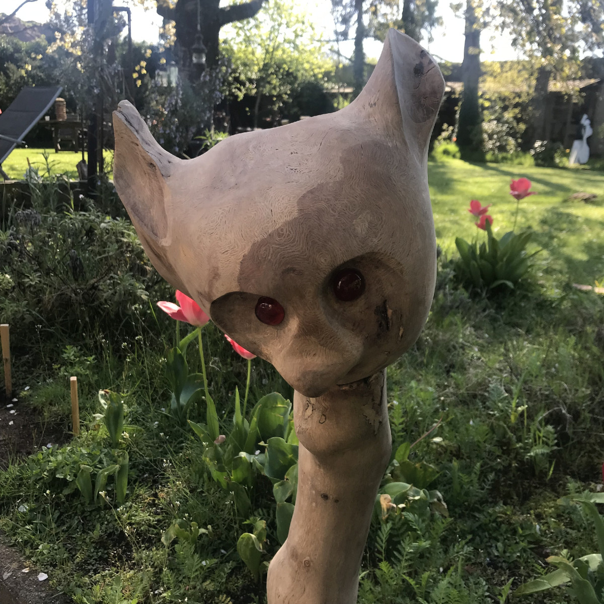 Wär hätte gedacht dass da ein Rotäugiger
