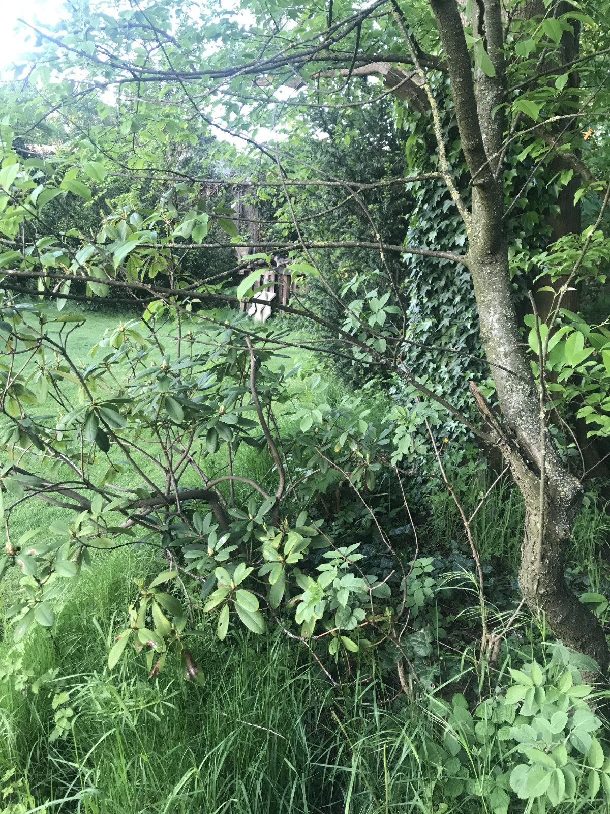 ideale Verstecke