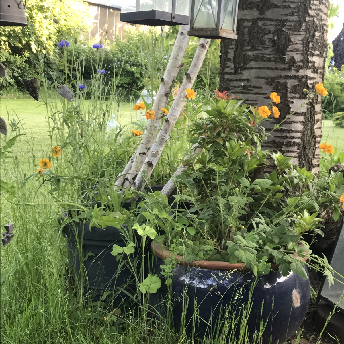 Hauptsache grün