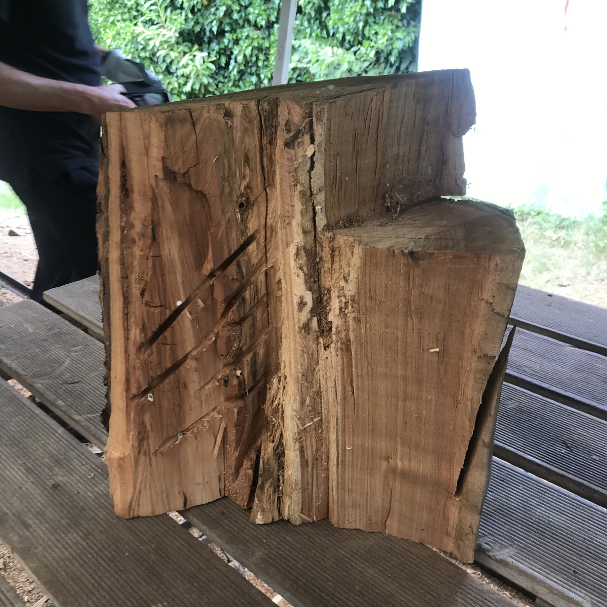Bis Freitag vormittag konnte er das Wort "Holz" nicht buchstabiern
