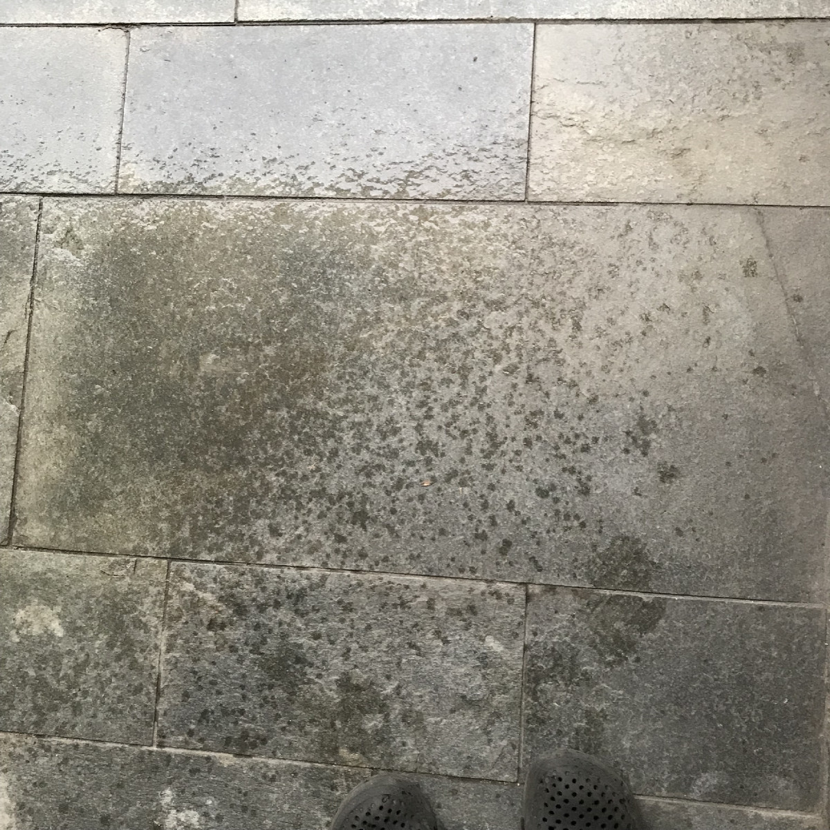 Regen?