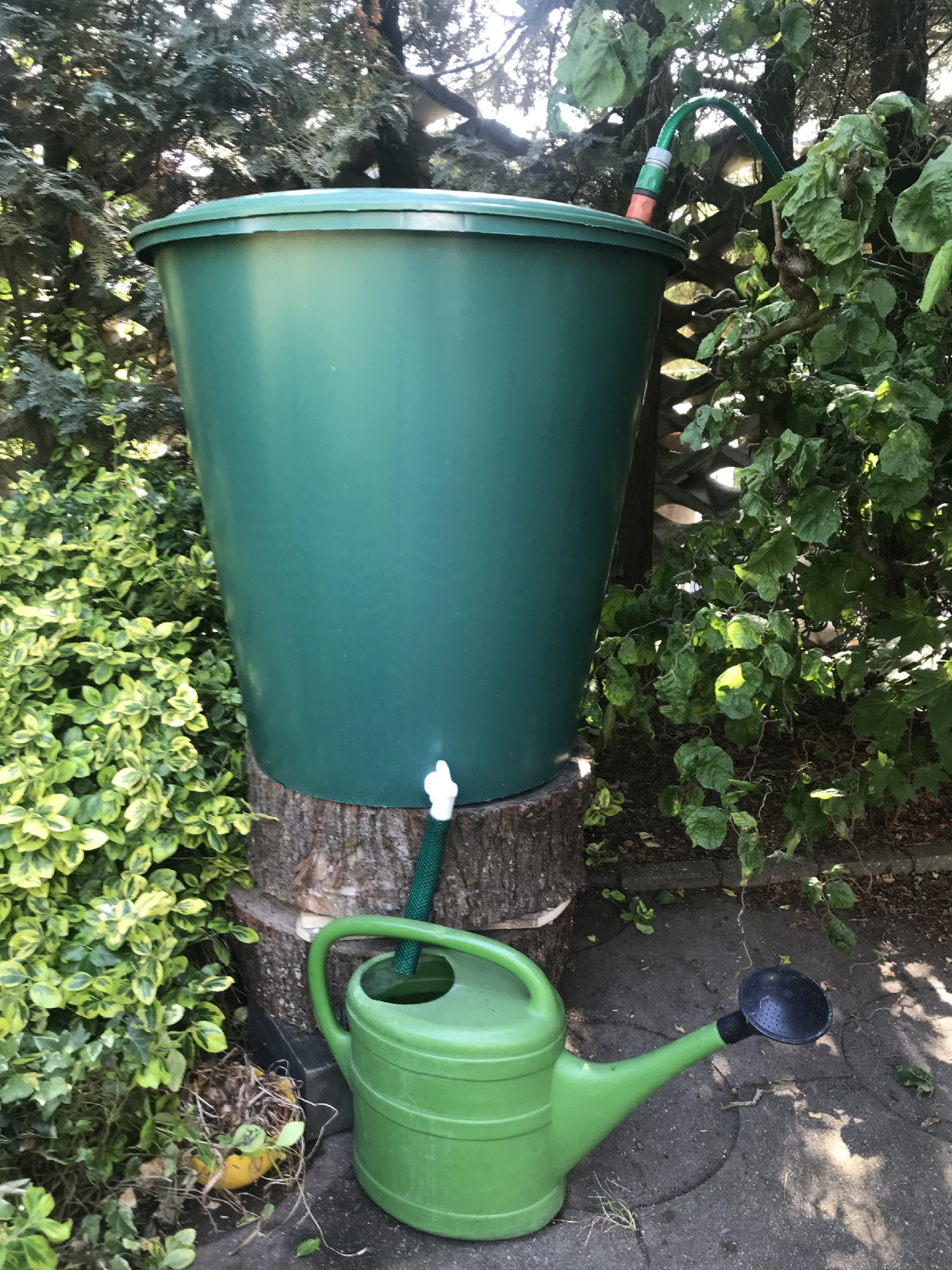 Downsizing. Gute Idee Gaby.