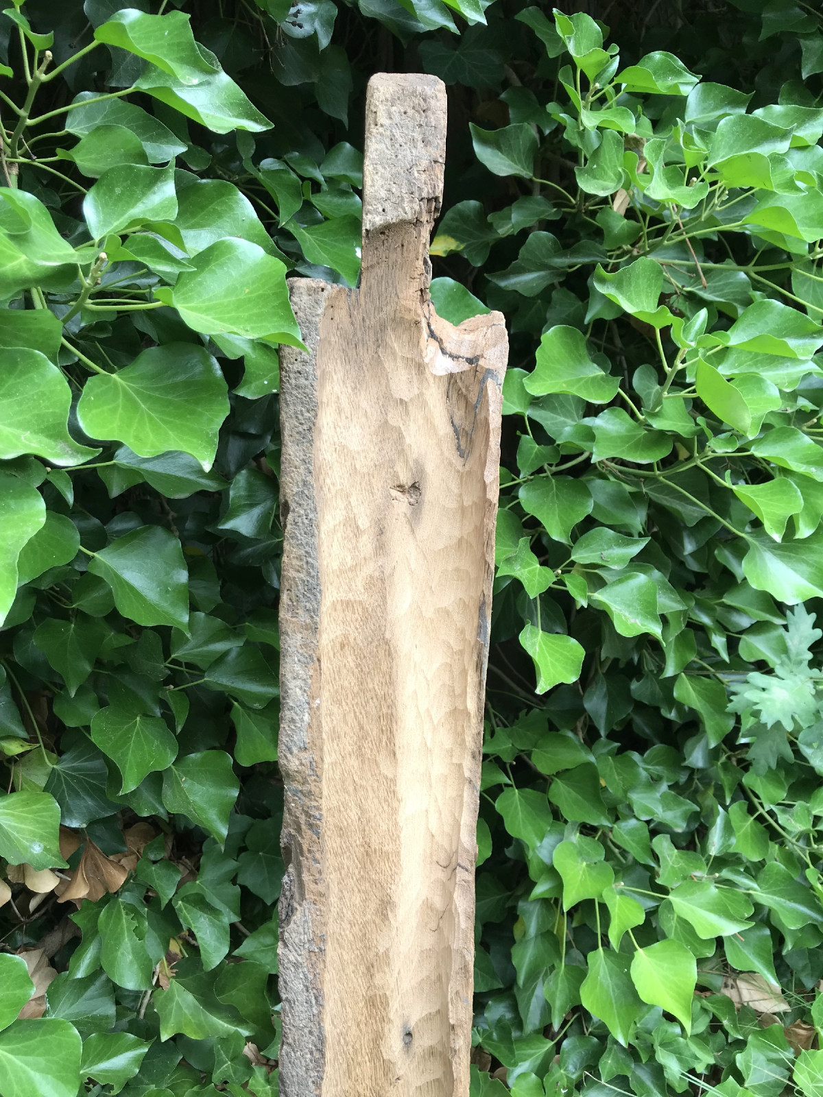 in den Garten