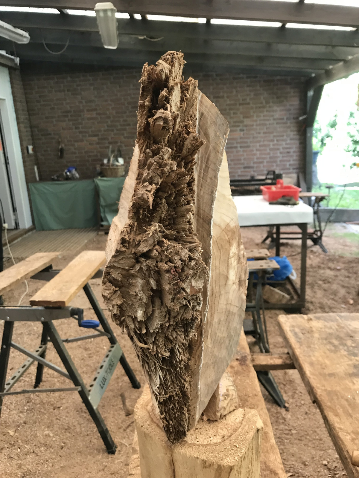 Holzart?