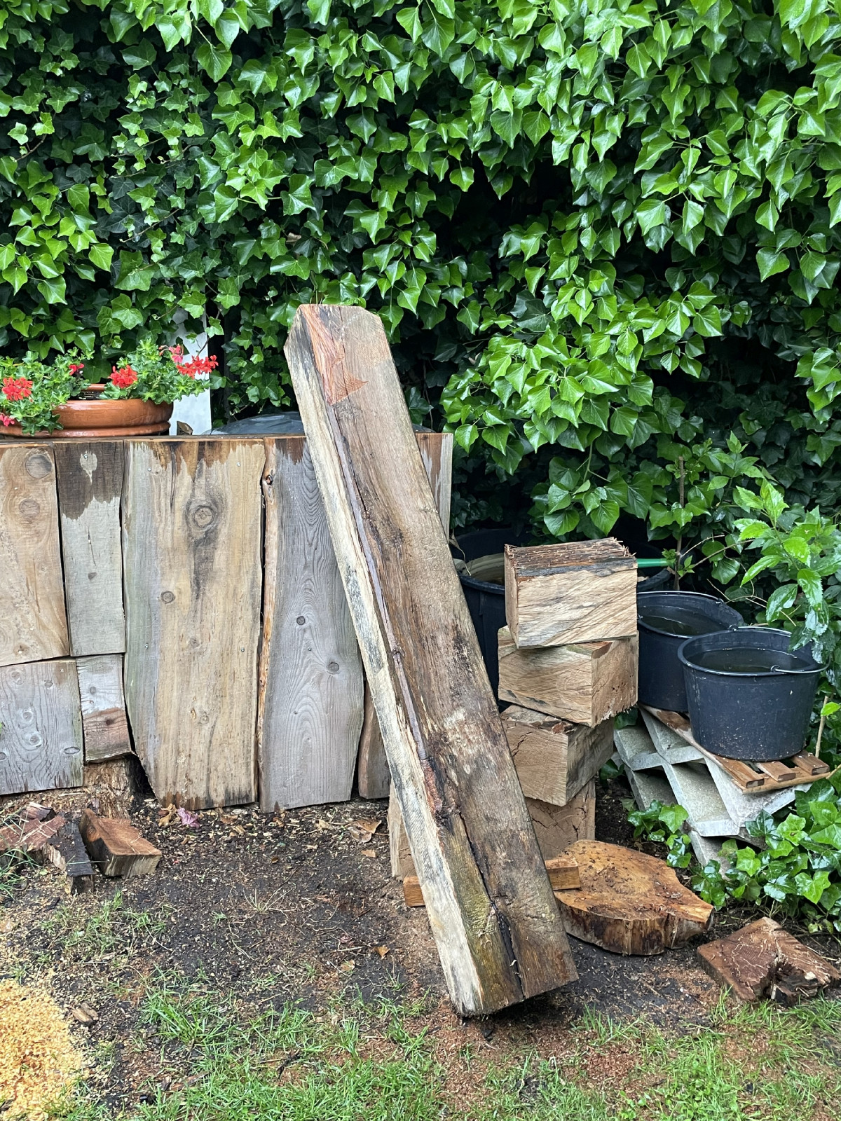 Eiche aus der Saline, ist nix mehr, nehmt lieber richtiges Holz.
