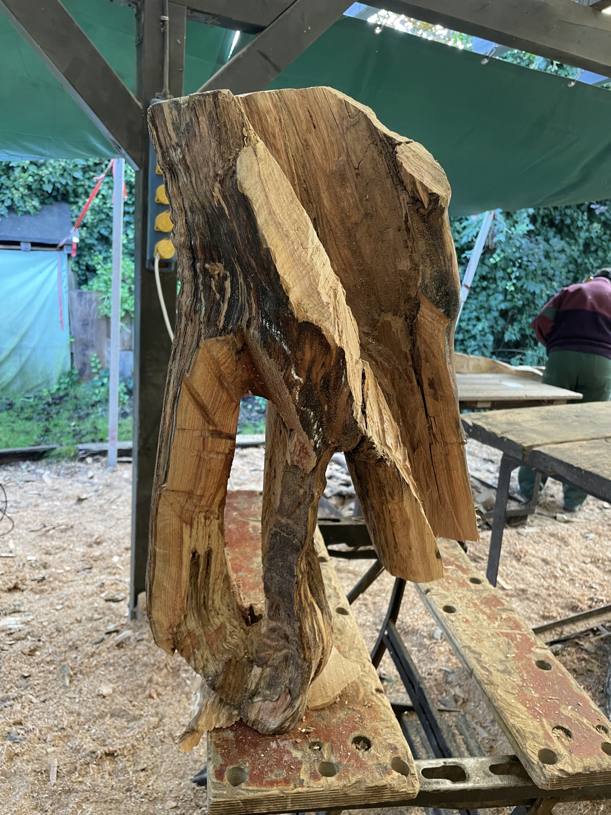 Noch zu viel Holz, Katja!