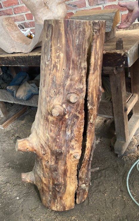 Ein weiterer Gigant