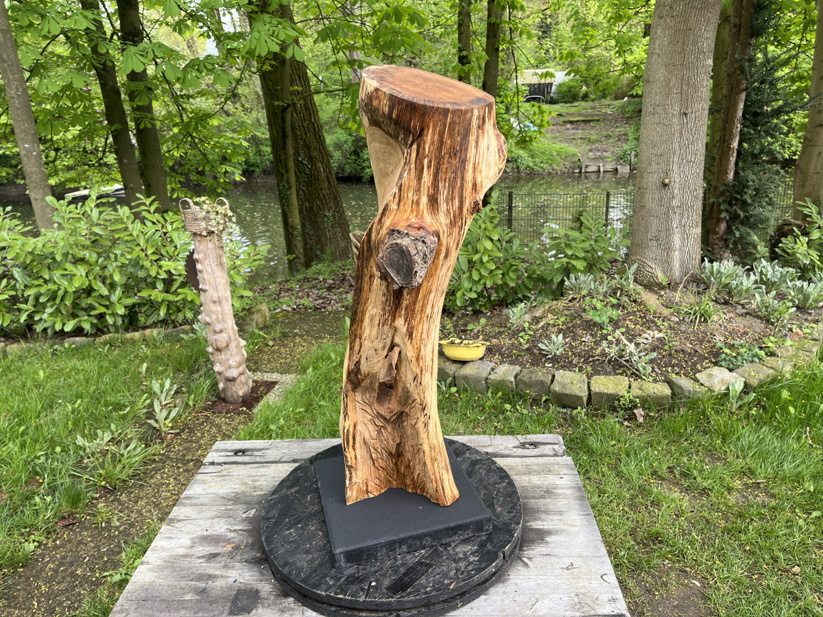 Yousefs Eiche